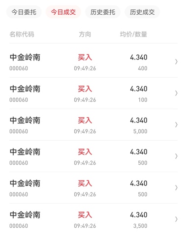 中金嶺南行情深度解析，最新動態(tài)與走勢分析