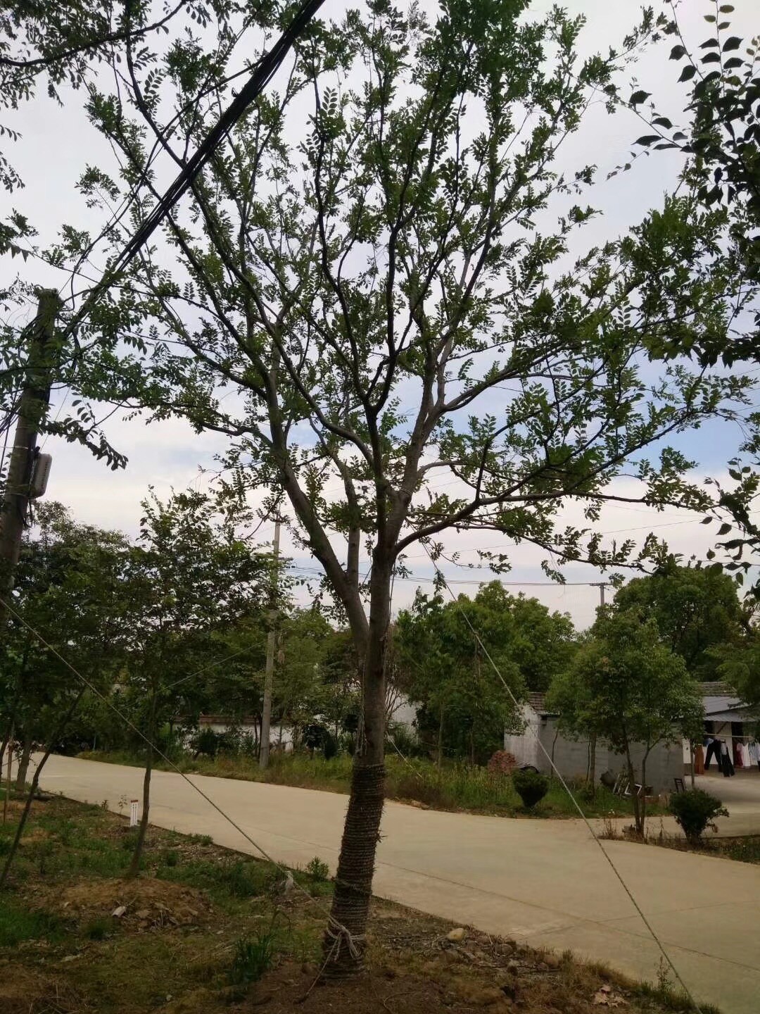 辦公設備耗材銷售 第38頁