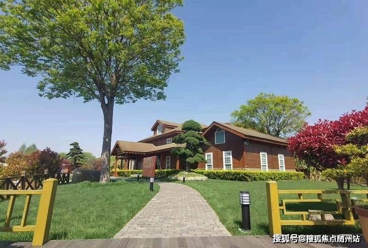 變化中的學(xué)習(xí)之旅，中澤純境最新消息與自信成就之源