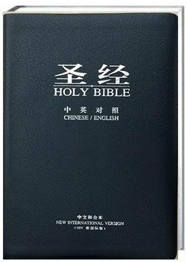 圣經(jīng)最新版本，科技與信仰的交融之作
