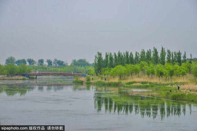 北京馬家灣濕地公園，巷弄綠意與隱秘特色小店探秘