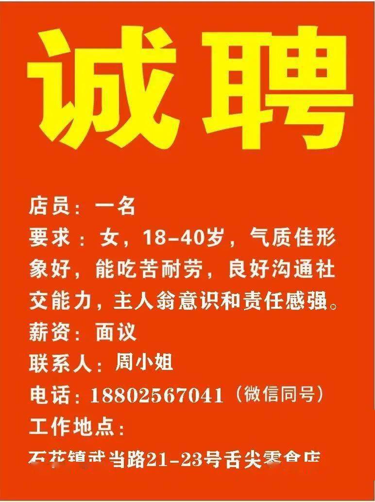 金正陽最新招聘信息發(fā)布，職位空缺及申請指南